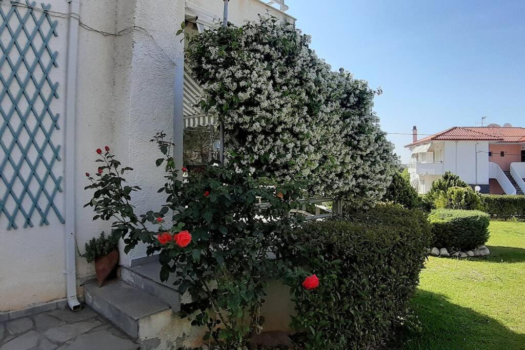 Kleo House Kalives Polygyros Halkidiki Kalyves Polygyrou Exterior foto
